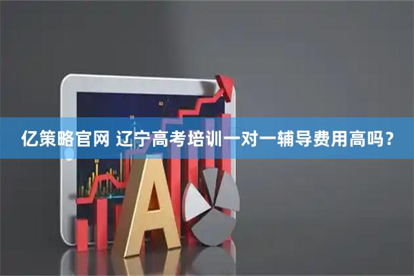 亿策略官网 辽宁高考培训一对一辅导费用高吗？